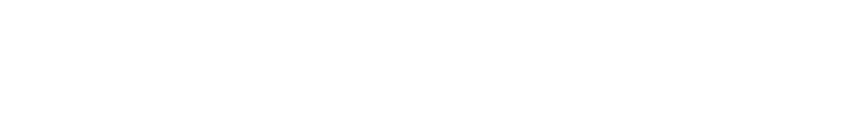 Dronehero.ru white logo